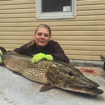 Украинка поймала большую щуку