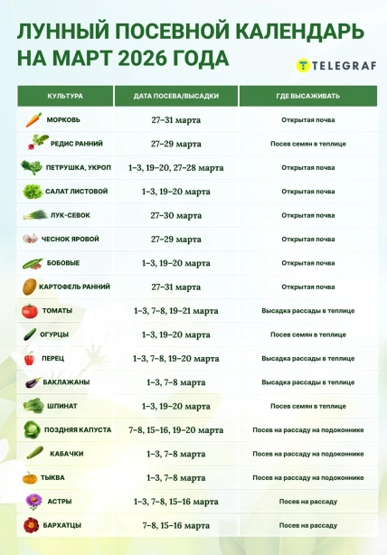 Что садить в марте 2026