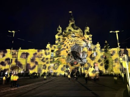 Световое шоу проекций во Леве