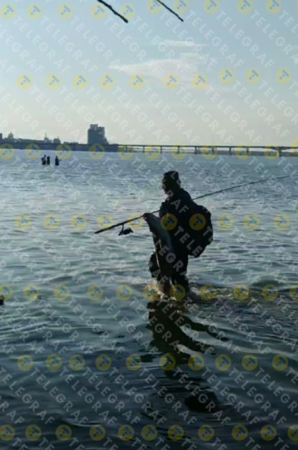 Толстолобик в Днепре