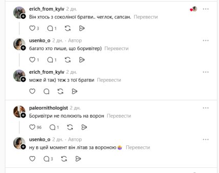 У Києві побачили птаха боривітра