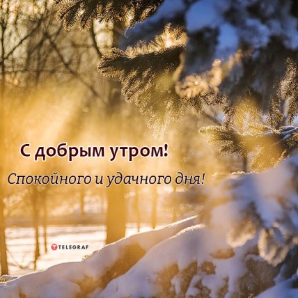 поздравление с добрым утром