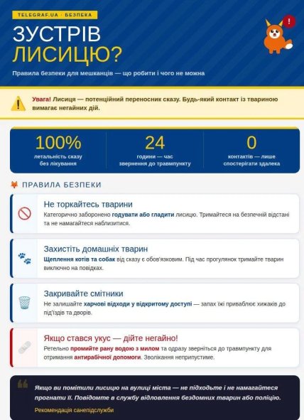 Что делать, если встретил лису