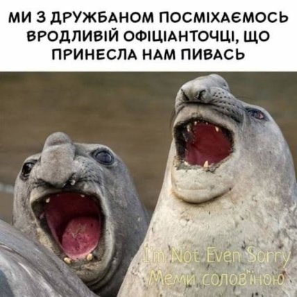 день пива приколы