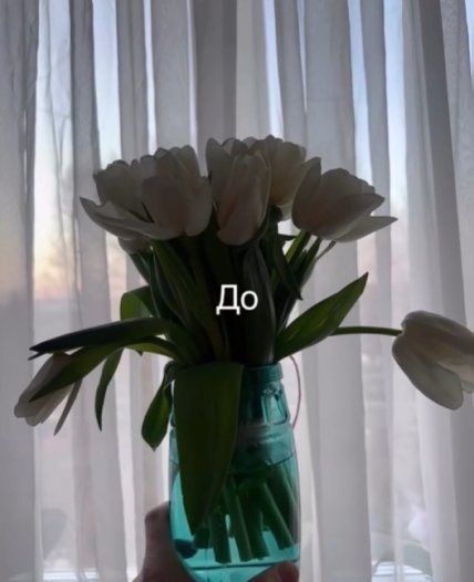 Фото цветов до