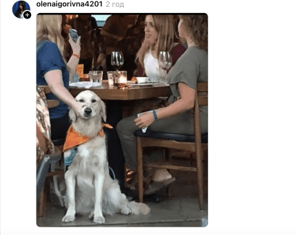 Мем про картину, яку намалювали інтимним місцем