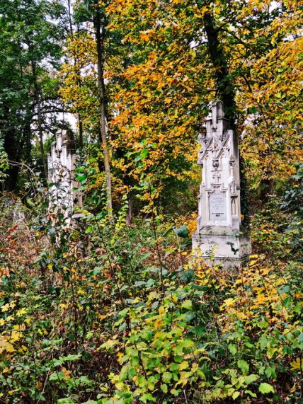 Старий польський цвинтар