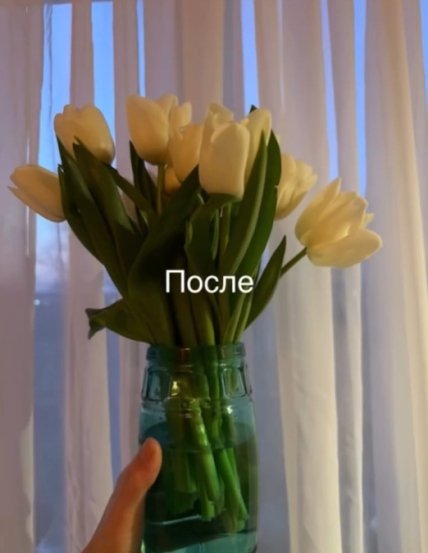 Фото цветов после