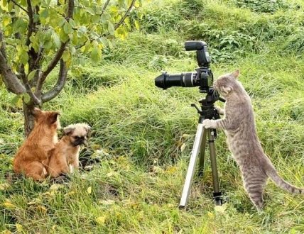 День фотографа 2021