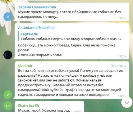 Комментарии про собак