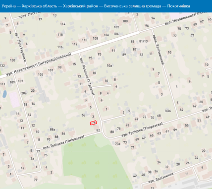 Вулиця Кохання в Покотилівці