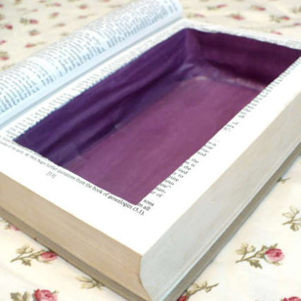 Таємна схованка з книги