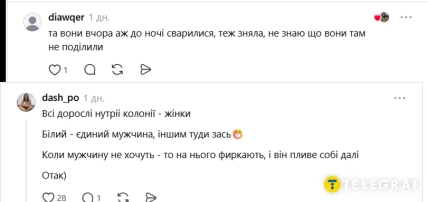 Пользователи о ссоре нутрий