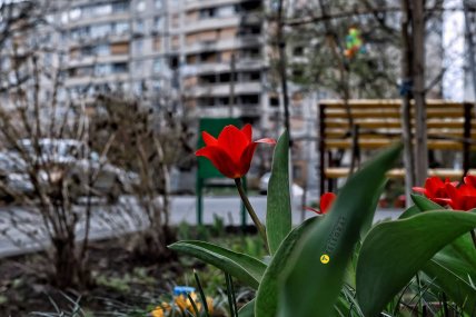 Салтівка, Харьків