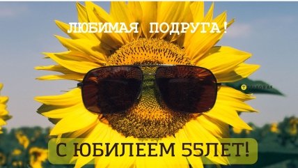 поздравление подруге с 55 летием открытка