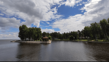 Угіддя Януковича поблизу Сухолуччя