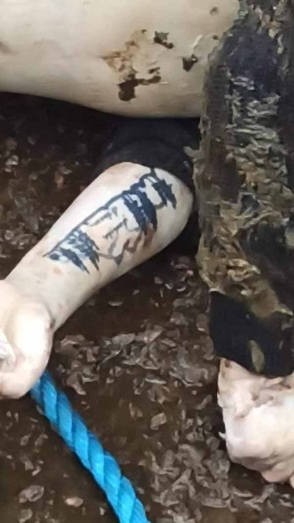 Дмитрий Капустин