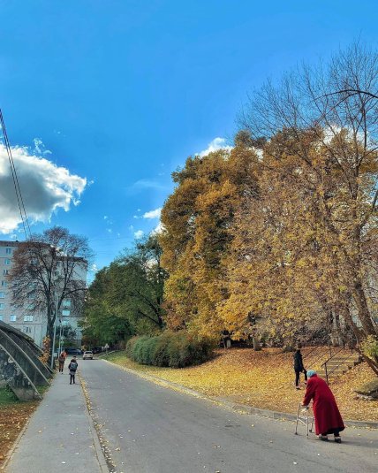 сніг вищгород