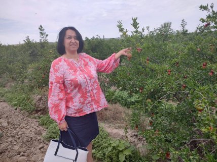 руженковая оксана