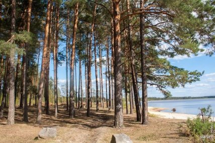 Берег водосховища біля Князівки