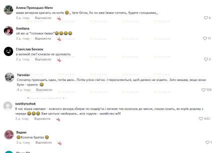 коты и ежи, комментарии