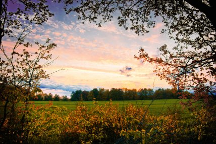 поле вечернее небо
