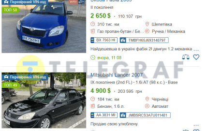 В Украине продают кошку по цене машины