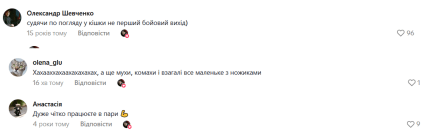 Комментарии о коте и пауке