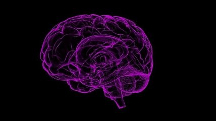 Исследование: наш мозг "промывается" во время сна