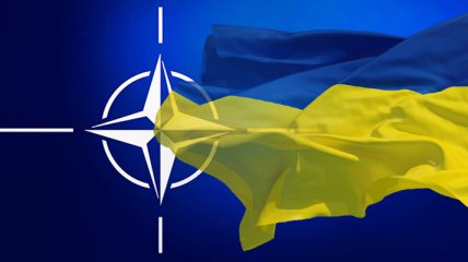 На Донбассе провели опрос о вступлении Украины в НАТО и ЕС