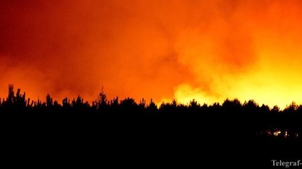 Во Франции сгорели 370 гектаров леса