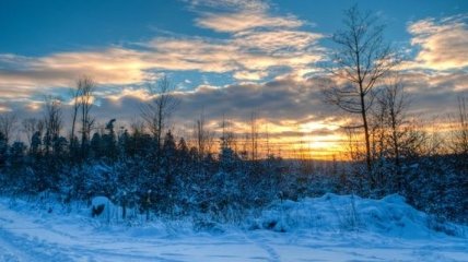 Погода в Украине на 25 января: потепление в некоторых областях