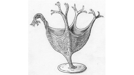 Найден древнейший образец мышечной ткани