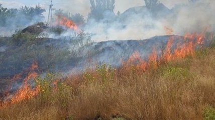 Украинцев предупреждают о высокой пожарной опасности в Украине