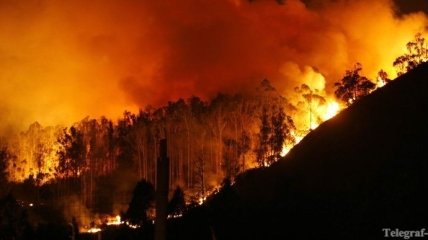 Лесной пожар вблизи Ялты удалось локализовать