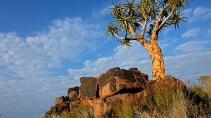 Намибия: страна бескрайних просторов