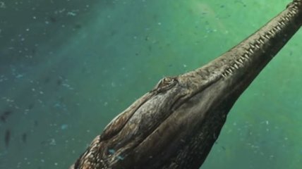 Найден гигантский череп древнего морского чудовища