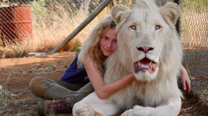 Миа и белый лев: фильм о дружбе девочки и хищника 