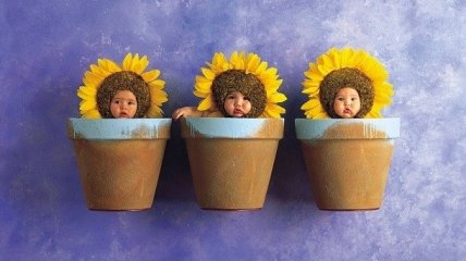 Дети – цветы жизни: креативная детская фотосессия от Анне Геддес