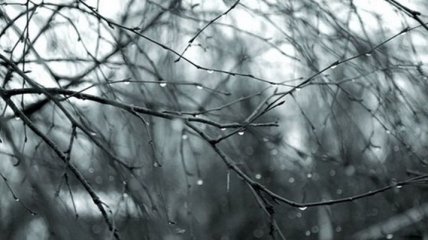 Погода в Украине 24 марта: пасмурно, местами дождь 