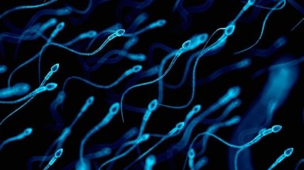 Спермограма, як важливий аналіз для чоловіків