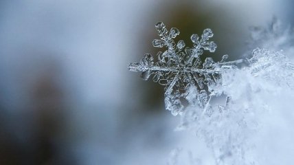 Ледяная красота: разнообразные узоры снежинок крупным планом (Фото)