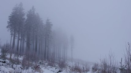 Погода в Украине на сегодня: снежно и дождливо