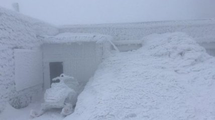 Сильный снегопад и вьюга: гору Поп Иван в Карпатах замело снегом