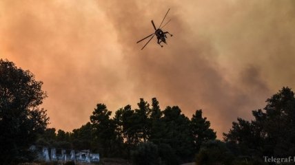 Леса на греческом острове Эвбея горят третий день 