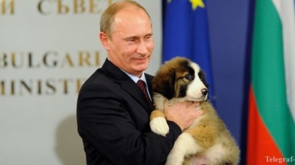 Немецкое издание объяснилось за сравнение Путина c собакой