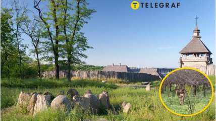 Острів Хортиця