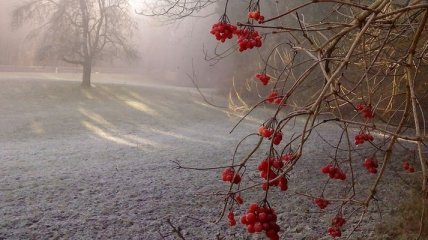 Зима в сентябре: в ближайшие дни Украину будет “морозить”