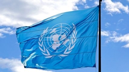 Докладчик ООН: КНДР продолжает нарушать основные права человека