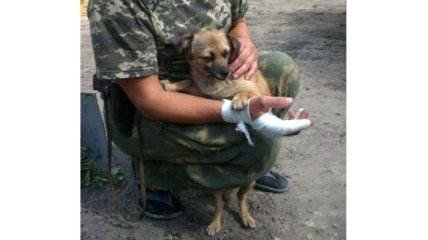 Собака Жужа три раза спасала жизнь пограничникам